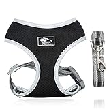 Dociote Hundegeschirr Set mit Leine - Brustgeschirr Welpengeschirr Set mit Leine & Reflektorstreifen verstellbares Geschirr für Welpen kleine Hunde Katzen Schwarz M