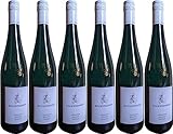 Johannes Fischer – Bocksteinhof STEINBOCK Riesling 2023 Feinherb (6 x 0.75 l)