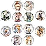 Wondora 12 Stücke Magnete Kühlschrank Magnete Kinder Kühlschrankmagnete, Tuschezeichnung Mit Tiermotiven Magnete für Magnettafeln, Kühlschränke, Whiteboards, Heimdekoration usw (Rund/30 mm)