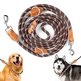 Hundeleine für Große & Mittelgroße Hunde, Verstellbare Hundeleine 3m mit Reflektierend Streifen, Nylon Doppelleine Verdickte Freihandleinen mit 2 Karabiner durch die Extreme Kraft bis 200 kg (Braun)