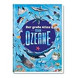 TRÖTSCH - Der große Atlas der Ozeane | Kinderatlas über die faszinierende Unterwasserwelt: Sachbuch mit lehrreichen Texten, großformatigen Bildern und Weltkarten zu den Ozeanen | Ab 6 Jahren