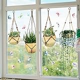 WandSticker4U®- XXL Fensterbilder Herbst selbstklebend HÄNGEPFLANZEN im Boho-Stil (112x59 cm) I Fenstersticker Pflanzen Wohn- & Schlafzimmer Bad Küche I Fensteraufkleber Herbstdeko Fenster GROß