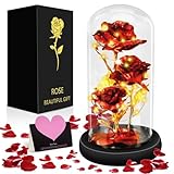 MOYKSRR Ewige Rose, Die Schöne und das Biest Ewige Rose, Rose Geschenk Kit, Glaskuppel, Holzsockel, LED Ewige Rose Geschenke für Mama, Damen, Weihnachten, Hochzeit, Jahrestag, Muttertag