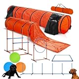 YZRDCXM Agility-Trainingsset for Hunde, Starter-Set for das Training mit Hindernisparcours for Hunde, Outdoor-Spiele for Haustiere mit Tunnel, Sprungbrett, Hürde, Tunnel, Slalomstangen