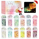 Fluoreszierendes Glitzer 12 Farben, Weihnachten Makeup Glitzer, Eleanore's Diary Karneval Gesicht Glitzer, Fasching Körperglitzer Farbwechsel Irisierende Pailletten für Nägel Augen Haare DIY Harz
