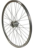 Redondo 28 Zoll Vorderrad Hohlkammer Felge Silber mit Shimano Nexus Nabendynamo