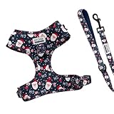 Hundegeschirr Weihnachten mit Leine für kleine Hunde | Arizona Hotdogs Softgeschirr Hohoho | Leine Nylon 1,5m | Weihnachtsmann (XS)
