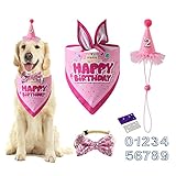 Hund Geburtstag Hut Bandana - Hund Geburtstag Party Supplies Geburtstag Hundehut mit Zahlen Hund Blingbling Hundeschleife Set für kleine mittelgroße Hunde Haustiere (Rosa)
