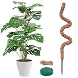 Moosstab für Monstera - 120cm Biegsame Pflanzenstütze für Indoor, Handgemachte Coco Coir Pole Rankhilfe Unterstützung für Creeper Wachsen Nach Oben