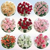 rosensamen kletterrosen duftend - seltene samen balkon blumen bonsai samen topfpflanzen für draußen outdoor pflanzen indoor plants pflanzensamen gewächshaus balkon seeds steingarten 350pcs