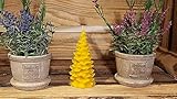 Tannenbaum Bienenwachskerze
