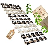 DaMi Rollrost RolloTel 140 x 200 cm, 5-Zonen Buchenholz Lattenrost, rollbar leicht & kompakt, Premium Rolllattenrost Holz Roll Rost Bett Matratze Bettrost Rollroste Lattenrahmen Lattenrostauflage