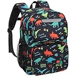 Bagseri Kinder Rucksack für Jungen - Dinosaurier Kinderrucksack für Kinder 3 bis 8, Vorschule Kindergartenrucksack mit isolierter Tasche, Schulbuchtasche für Grundschulklassen 1-2, schwarz