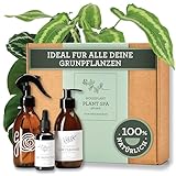 Generosa Geschenkset Plant Spa - Pflanzenschutz und Reinigung | Neemöl und Pflanzenseife | Blattläuse, Thripse und Spinnmilben Bekämpfen | Geschenke für Gartenliebhabe und Liebhaber von Zimmerpflanzen