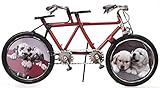 Fahrrad Tandem aus Metall 32 cm rot mit 2 Bilderrahmen Oldtimer Nostalgie Blech Modell Rad Velo