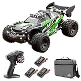 Teeggi Ferngesteuertes Auto 35km/h, 1/18 RC Hohe Geschwindigkeit Offroad Drift Rennauto, 2.4G Kohlebürste Motor 4WD Off Road Race Buggy für Erwachsene, 3 Batterien, SG118PRO(Grün)