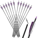 ZSHJGJR Pfeile für Traditionelle Bogenschießen 30 Zoll Bogenpfeile Carbon Pfeile Jagdpfeile Spine 500 Pfeile mit 4'' Befiederung für Recurvebogen Traditionellen Bogen Pfeile Pfeilspitzen Zielschießen
