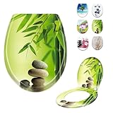 LARS360 Toilettendeckel WC Sitz mit Absenkautomatik, Antistatisch Antibakteriell Leicht zu Reinigen Abnehmbar Für Meisten Klodeckel Hänge WC, 45 x 38cm (Bambus und Steinkunst)