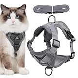 Ausbruchsicheres Katzengeschirr – Kätzchen-Walking-Geschirr und Leine – Katzengeschirr und Leine zum Spazierengehen, ausbruchsicher, verstellbare Kätzchen-Westengeschirre
