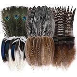 48 Stück Natur Federn zum Basteln,Verschiedene Arten Natürliche Bastelfedern für DIY Traumfänger,Deko,Faschingskostüme und Hochzeit,Bunte und Natürliche Federn zum, Ideal für Party und Heimdekoration