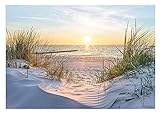 WallArena Fototapete Strand Meer 3D Nordsee Dünen Sonne Panorama Natur Modern Wohnzimmer Schlafzimmer Wandtapete Vlies Tapete UV-Beständig Montagefertig (368x254 cm - 4 Bahnen)