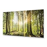 murando - Wandbilder XXL Wald 120x40 cm 1 tlg Wand Deko Leinwand Bilder Groß Wandbild Wohnzimmer Bild Schlafzimmer Kunstdruck Panoramabild - Waldlandschaft Natur Bäume Sonnenaufgang c-B-0077-b-b