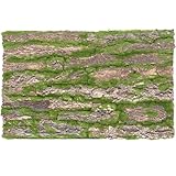 HOMSFOU Kork Baumrinde 30x50cm Reptilien Kletterdekor mit Sonnenplattform für Echsen und Schildkröten Terrarien Rückwand und Habitat Zubehör
