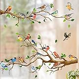 WandSticker4U®- XXL Fensterbilder Frühling VOGEL-TREFFEN selbstklebend (140x60 cm) I Fensteraufkleber Vögel auf Ast Fenstersticker Wohnzimmer Schlafzimmer wiederverwendbar GROß