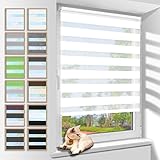 Zarnan Doppelrollo Klemmfix ohne Bohren Weiß 110x120cm(Stoffbreite 106cm) Duo Rollo Blickdicht Zebrarollo Rollos für Fenster ohne Bohren für Wohnzimmer Küche Büro lichtdurchlässig und verdunkelnd