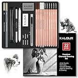 KALOUR PDAS 22-teiliges Zeichenkohle-Set, Professionelles Kunstzubehör, Schwarze und Weiße Kohlebleistifte zum Zeichnen, Skizzieren, Schattieren und Verblenden, für Anfänger und erfahrene Künstler