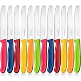 targzier Frühstücksmesser 12 Stück, Edelstahl Tafelmesser,Hochwertiges Tomatenmesser mit Wellenschliff,Bunt Brötchenmesser,Scharfe Messer Set für Brotzeit,Kunststoffgriff Messerset