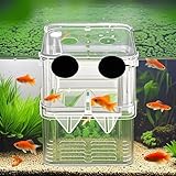 FGXY Aufzuchtbecken Aquarium, Aquarium Zucht Isolation Box, Züchter Isolation Divider Brutkasten, Multifunktional, Für Guppy Garnelen Mollys, Aquarium Babybecken Isolationskiste Jungfiisch