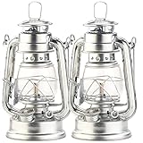 Lunartec 2er-Set Petroleum-Sturmlaternen mit Glaskolben, verzinkt, 18,5 cm (Zylinder)