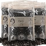 Sybotanica Farn-Erde 20 L – Premium Coco Blumenerde für Farn, Hedera & mehr, Torffrei & 180 Tage Bio-Dünger – Für Zimmerpflanzen-Liebhaber