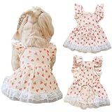 Hundeprinzessinnenkleid mit floralem Muster, Spitze Rüschenbesatz, Katze Outfits Puppy Sommer Tutu Kleid für kleine Hunde Chihuahua-Kleidung,Größe XL(5-7.3kg),Blumenmuster