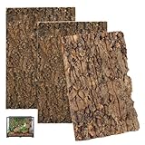 Sporgo Korkrinde Rückwand für Terrarium: 3 Stück Natürliche Baumrindenoptik, Reptilien-Klettermatte, Reptilienbecken Baum Hintergrund Wanddekoration, für Schildkröte Gecko Bartagamen - 30x20cm