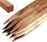 Circle of Trust Gartenstecker aus Holz, 30 cm lang, für Pflanzen und Bäume, 10 Stück, druckimprägniertes Holz, 2,5 cm dick