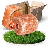 Kristallsteinsalz Leckstein 2er Set mit Kordel - Stein 2kg - 2,5kg aus echtem Himalaya Salz - naturbelassener Salzleckstein für Pferde, Ziegen & Wildtiere - Stall & Weide Pferdezubehör