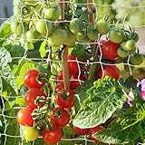 Ranknetz, PDGROW Pflanzennetz für Gartenpflanzen, 1,8 x 4,5 m Strapazierfähiges Spaliernetz für Garten, Rankhilfe Netz für Weinreben, Obst, Gemüse, Trauben, Bohnen, Erbsen, 1 Packung