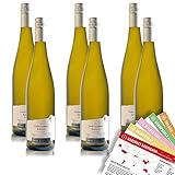 J.Drathen Gewürztraminer Kabinett QmP, feinherb, sortenreines Weinpaket + VINOX Winecards (6x0,75l)