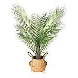 Kazeila Kunstpflanze Groß Areca Palme 80cm Künstliche Pflanzen im Topf Kunstpalme Fake Plastik Dekor(1Pack)