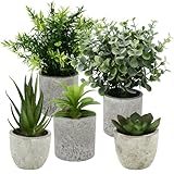 5 Stück Kunstpflanze, Mini Künstliche Pflanzen Schlangenzunge, Agave Sukkulente, Eagle Claw Aloe, Künstliche Pflanzen für Schlafzimmer Büro Dekoration