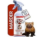 KRAFTKÖNIG PREMIUM Marderspray - Sofort + Effektiv Formel - 500ML Marderabwehr Auto & Haus - Überall Marder vertreiben - Alternative zu Marderschreck Auto & Dachboden - Made in Germany
