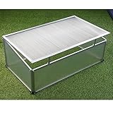 Frühbeet Alu 100x60x40cm Polycarbonat Gewächshaus Frühbeetkasten Treibhaus