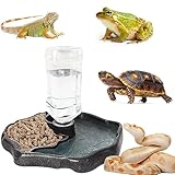Funmo Reptilien Schildkröte Futternapf, Terrarium Wasserschale, Futter Wasserspender Geeignet für Schildkröten, Geckos, Schlangen, Frösche usw Reptilienhaustier (Braun)