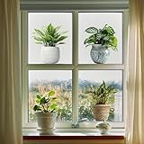 Tanlaby Pflanzen Topf Fensterbilder Sommer Frühling Fensteraufkleber Tropische Grüne Topfpflanze Fenstersticker Anti-Kollision Glas Fenster Glastüren Fensterdeko Küche