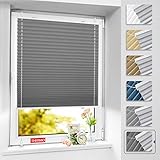 BelleMax Plissee ohne Bohren Verdunkelung, Thermo Plisseerollo Klemmfix, Grau 60x100cm(BxH), Verdunklungsplissee 100% lichtundurchlässig für Fenster, Blickdicht Sichtschutz Sonnenschutz