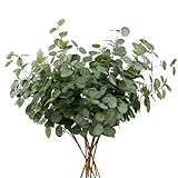 HNVNER 6 Bündel Kunstpflanze Eukalyptus Deko, Künstliche Eukalyptus Zweige Blätter, Realistische Grüner Eukalyptus Pflanze Eukalyptusstiel für Hochze Home Party Dekoration Tischdeko Blumenarrangement