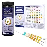 100 x One+Step Urin Teststreifen für 10 Parameter I Mit Farbkarte für genaues hygienisches Ablesen I Keton, Glukose, Bilirubin, spez. Dichte, Blut, pH, Protein, Urobilinogen, Nitrit, Leukozyten