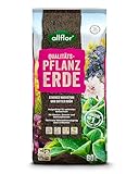 Allflor Pflanzerde I 1 x 60 Liter Beutel I Erde gebrauchfertig, aufgekalkt, aufgedüngt I Blumenerde für Pflanzungen im Garten oder im Kübel I Schnelles und optimales Wachstum
